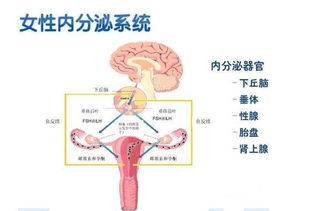 反面观点——别忽视潜在风险因素！