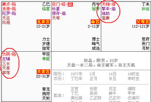 五、  实证分析与案例研究：以小王为例