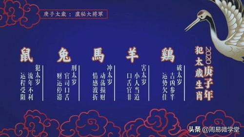 6．太岁君象指引——孩子志向宏大但需克服官鬼束缚