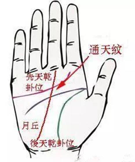 八字纹如何影响十年运势和运程？