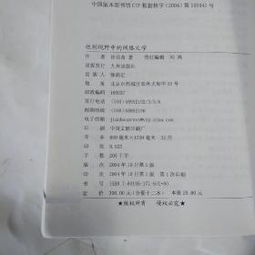 二、学术分析：从文化观点的审视