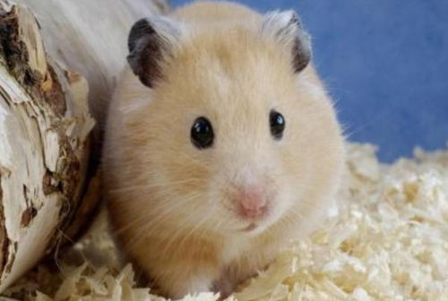 光线暗就破财？胡扯