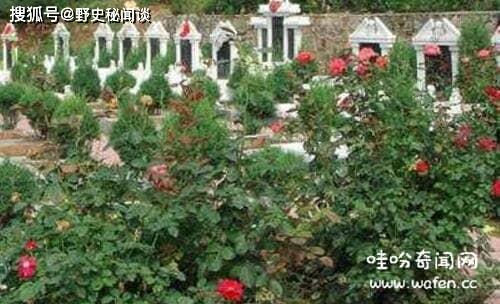 一、 风水宝地下葬异象的定义及文化内涵