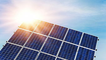 4.1 起名也要讲基本法