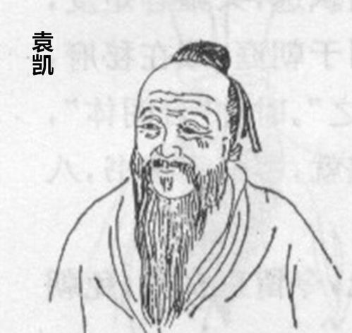 三、 同类案例比较：袁凯、唐寅与《红楼梦》中的刘姥姥