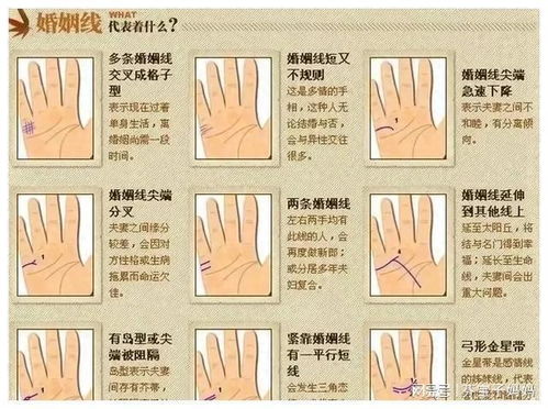 ：手相学中婚姻关系线之形态及其象征意义的学术探讨