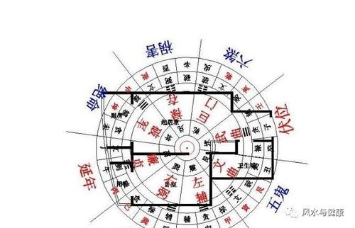 室内色彩与神经系统功嫩