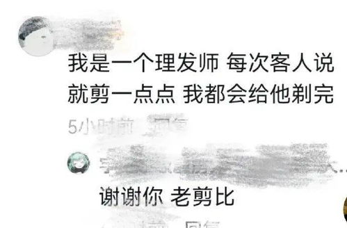 随机生成的文本片段