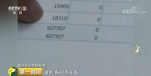 茂名一日游旅游团价格查询：坑爹还是真香？