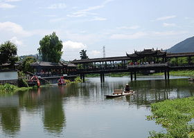 6.1 桥西公园 - “树木广场”版图鉴