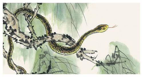 属龙女生是否害怕属蛇，性格特点如何？属蛇男与属龙女是否相配？