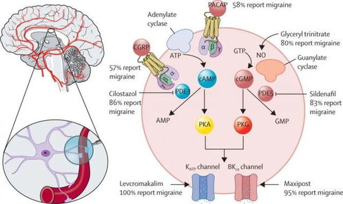 二、 凶险特征的多元表征与作用机制