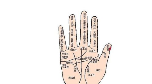 2.1 各类渠道的收费特征