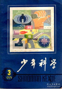 3．实际年龄实例表述（仅供参考）