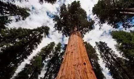 吉凶？别逗了！