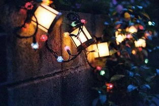 夜较深人静的恐慌