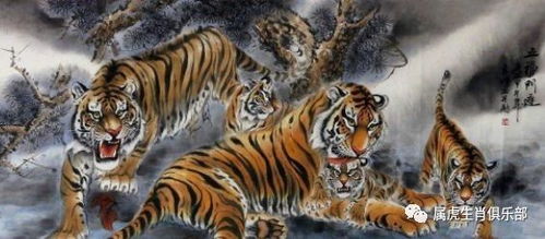 机遇与挑战并存