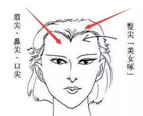 二、  行为模式与环境因素的交互影响