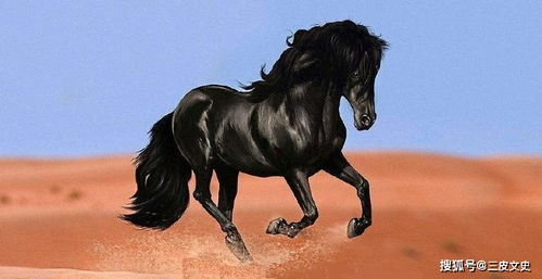 2. 司马氏皇室力量的巩固机制