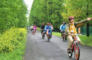 第六章：拍照姿势大比拼——谁丑谁尴尬