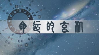 二、八字对人格特征及职业走向的多层面影响