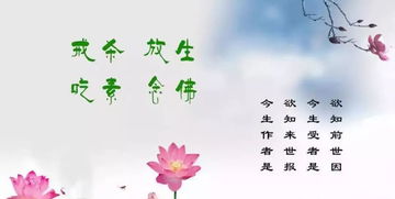 二、 主法者心境功夫对放生活效应的决定性作用于