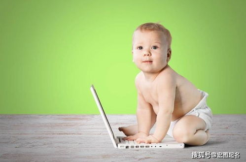 （三）整体结构与抑扬顿挫之间的和谐统一