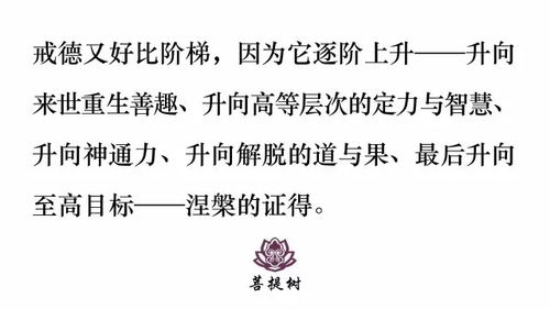 女性五两八命的独特价值