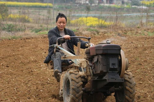 (2) 搬坟安葬及祭祀禁忌