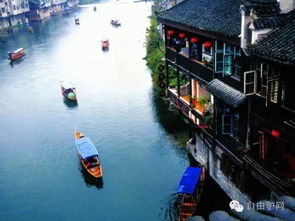 5. 沱江小鱼