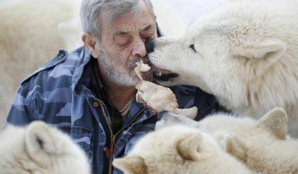 ：生肖相冲之概念与其对个人运势的潜在影响