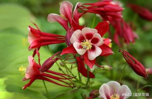 “汐”字的各种组合: 花里胡哨的名字大赏