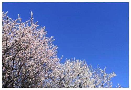 牵手相伴终身，牵手相伴余生，这样的承诺你愿意吗？