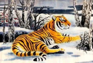 属虎生肖配对婚姻如何？属虎生肖挂历具体含义是什么？