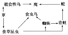 二、 动静结合在不同艺术形态中的具体实践