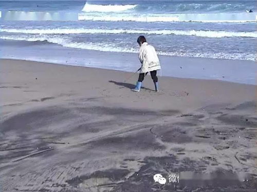 老海八字和简介中透露的哪些特点，能揭示他的人生轨迹和性格特点？