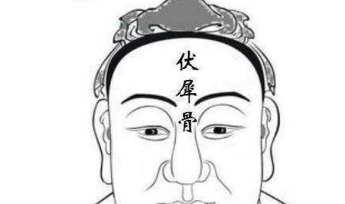 五、 现代解读：潜能开发与自我实现