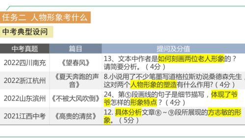 数据透视下的流量狂欢