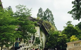 彭浦新村算命八字起名，广东梅州算命八字取名，如何根据八字为孩子取一个吉祥好名字？