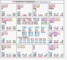 紫微斗数与伴侣选择之理论框架