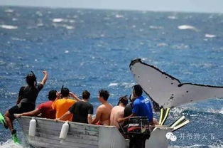 梦见自己跳入水中，这究竟预示着什么深层的心理暗示？