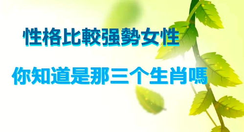 四、强较大势性格带来之生活质量