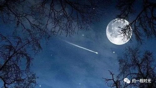 夜阑人静时的思念与哲思
