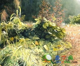 十二生肖逐年、逐月、逐日、逐时福禄解之寅虎篇，如何详细解读我的生肖虎运势？