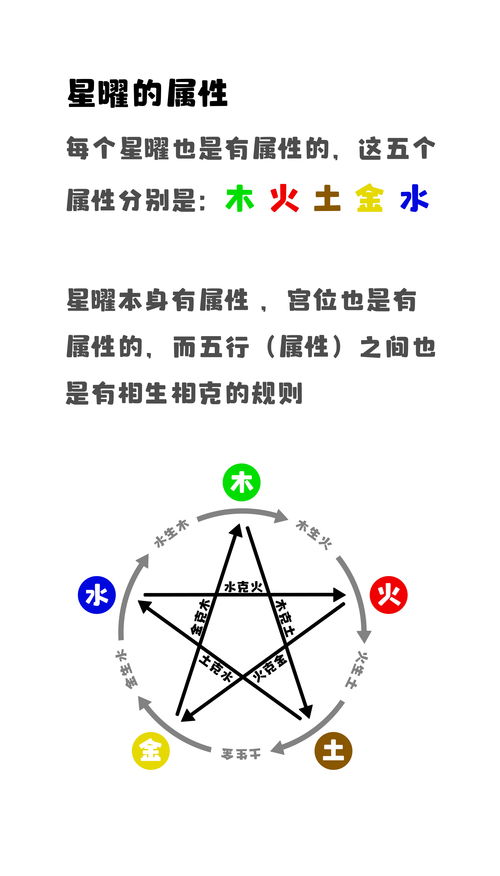 紫微斗数中，哪个星曜代表的人最聪明，且擅长哪些行业？