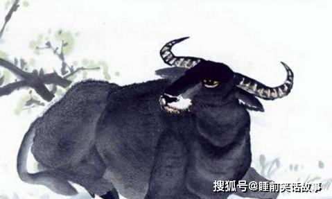 1961年属牛的人2026年将面临哪三大坎？运势如何？