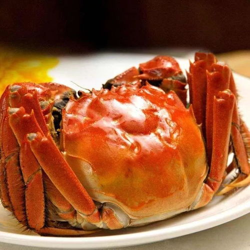 ：螃蟹在国学视域下的象征意义与食用价值