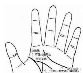 二、 无名指特征对偏财运势的多维解读