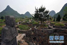 二、  阴宅路径受扰：气场流动的阻滞与冲煞