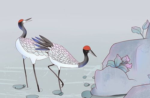 三、  风水因素与婚礼筹备中的实际考量